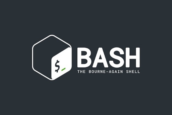 Bash top Command